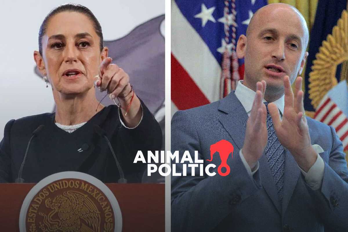 Asesor de Trump dice que CDMX es gobernada por cárteles; Sheinbaum refuta señalamientos