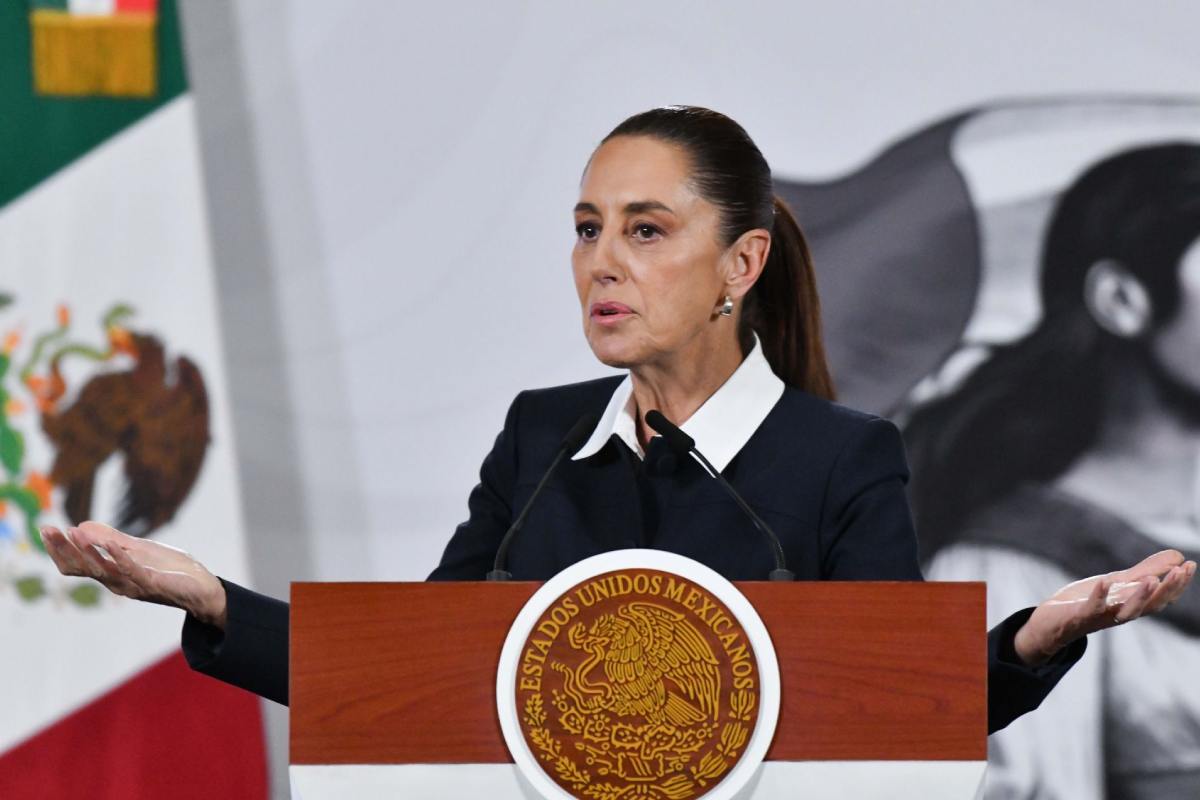 Sheinbaum reforma electoral plan B