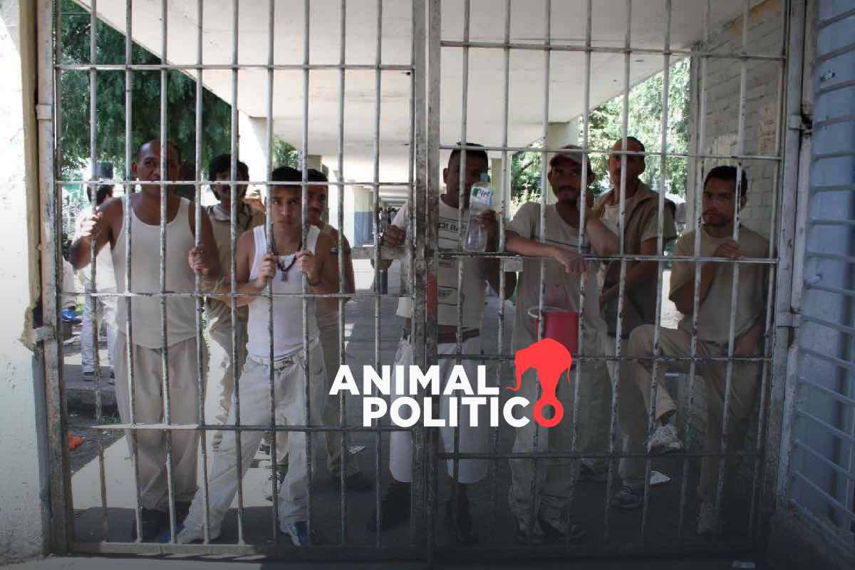 Sheinbaum rompe récord de personas privadas de la libertad; el 92 %, en prisión preventiva