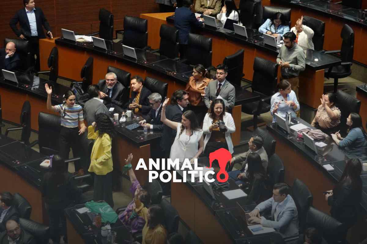 Avalan ley de inteligencia en el Senado; gobierno podrá acceder a bases de datos personales