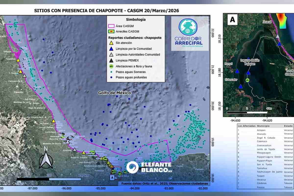 Sitios afectados por el derrame petrolero y su estado de limpieza, así como flora yfauna afectada.