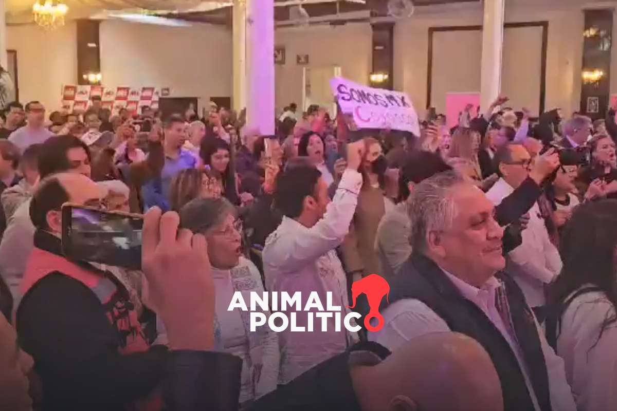 “Vamos por los huérfanos de la política”, Somos México apunta a ganar la presidencia en 2030