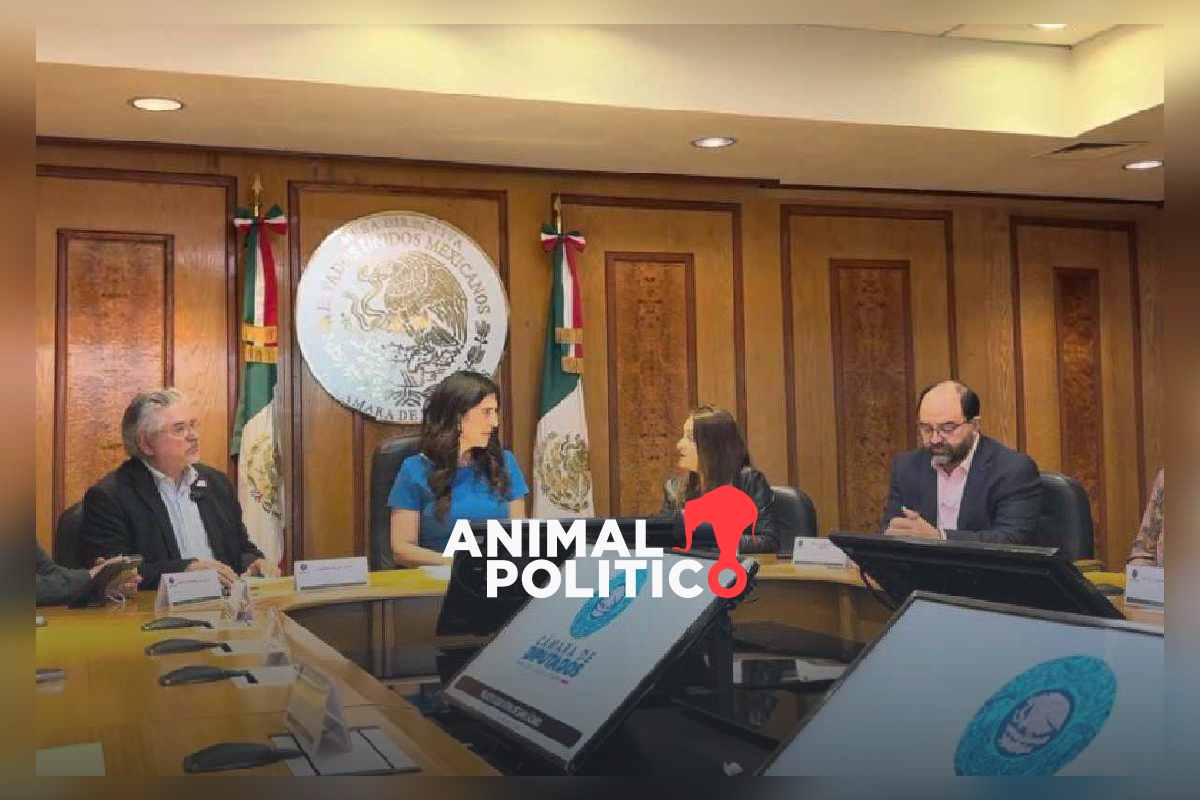 Somos México entrega propuesta de reforma electoral a Diputados; plantean blindar al INE