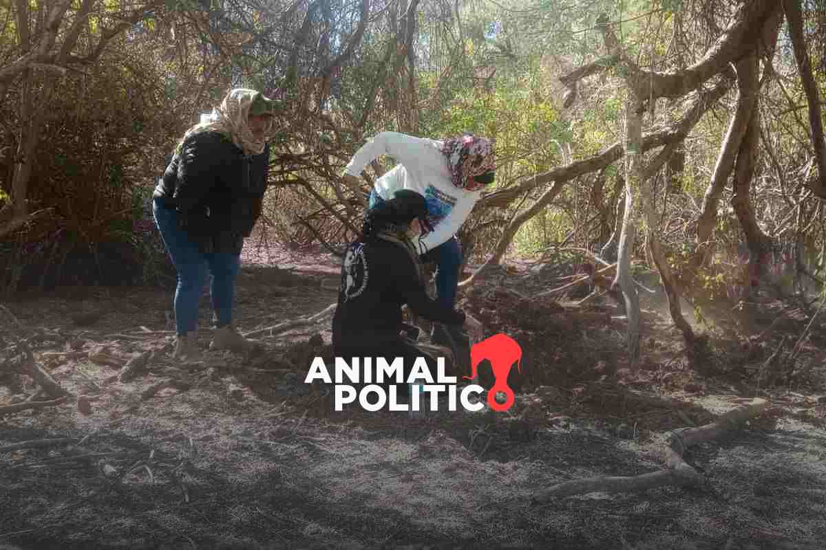 Sonora: 60 cuerpos hallados en Hermosillo son víctimas del mismo grupo delictivo, señala fiscalía