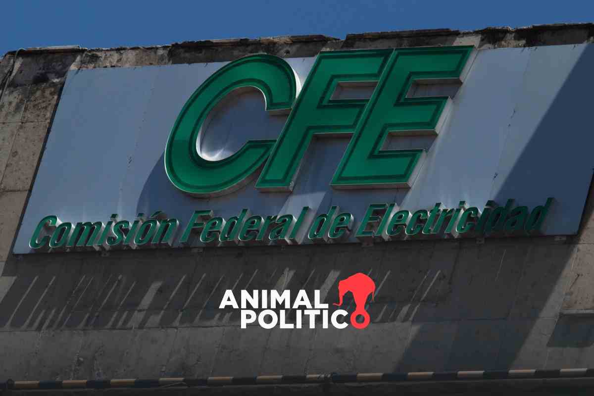 Subsidio de verano de la CFE: Qué es y en qué estados se aplica este descuento