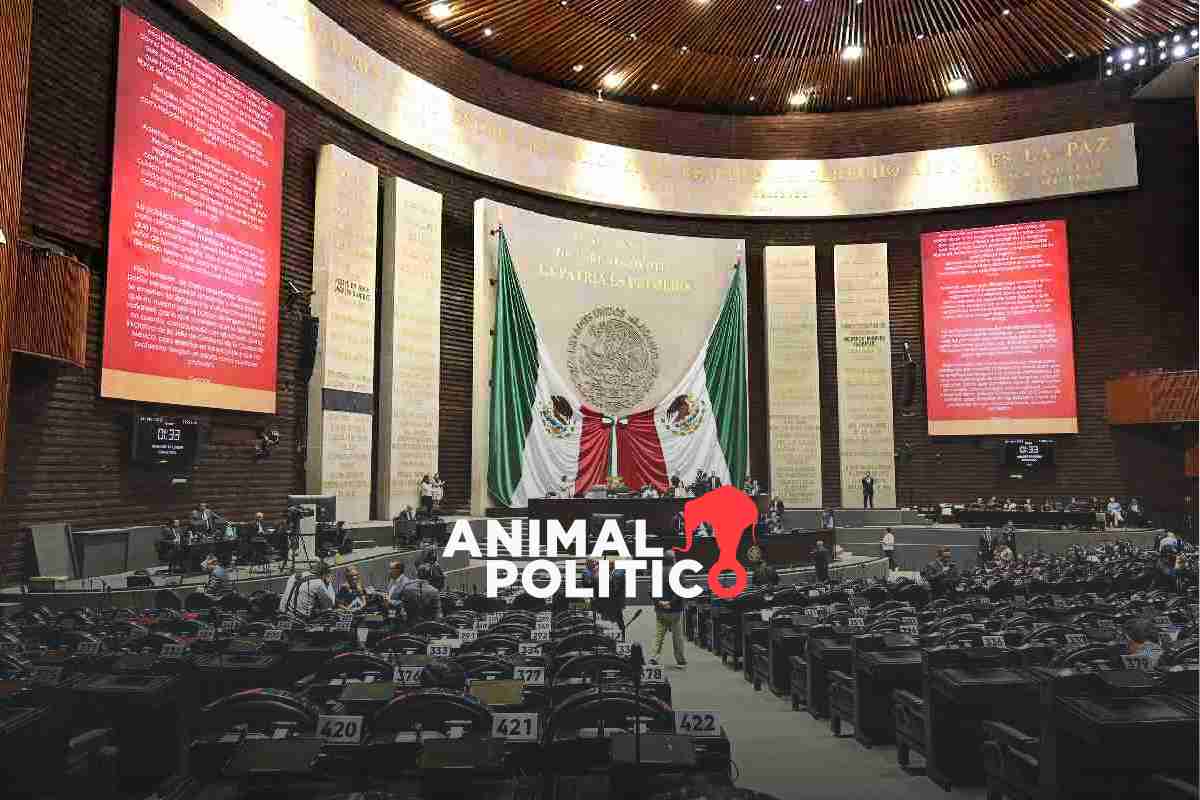 Sueldo de diputados aumenta pese a plan de austeridad; reciben al menos 153 mil pesos al mes