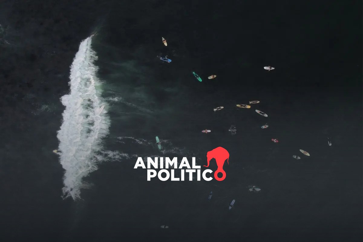 Expansión del puerto El Sauzal, en Baja California, pone en riesgo el surf en Ensenada