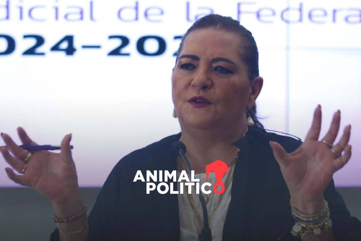 Se rodea Taddei de interinos en el INE; nombra dos nuevos encargados de despacho
