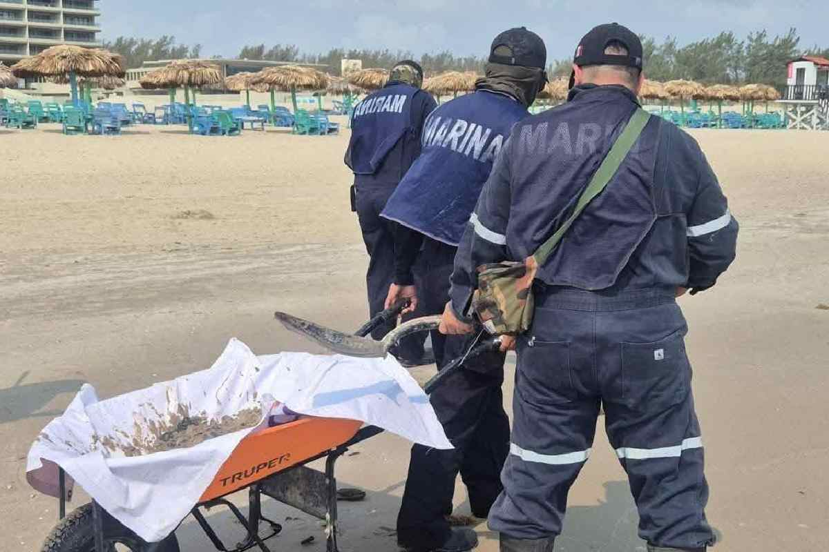 Tamaulipas pasa de la alerta al rastreo activo por derrame de hidrocarburos en el Golfo