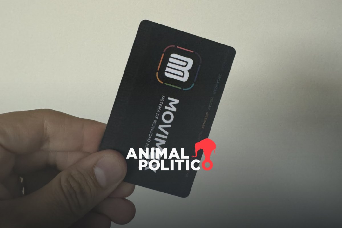 Tarjeta Movimex ya está aquí: así puedes entrar y transbordar gratis al Mexibús y Mexicable