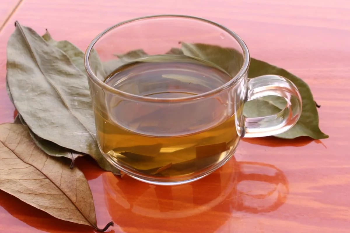 Té de hojas de guanábana: para el estrés, inflamación y mejorar la apariencia de la piel