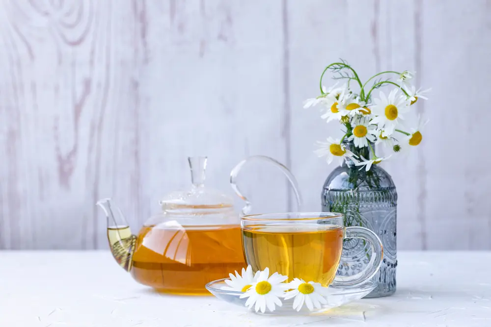 5 tés para la gastritis (y tres infusiones que debes evitar)