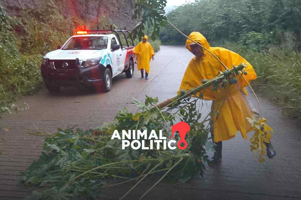 Tormenta Priscilla deja inundaciones, deslaves, suspensión de clases y dos muertos en Hidalgo