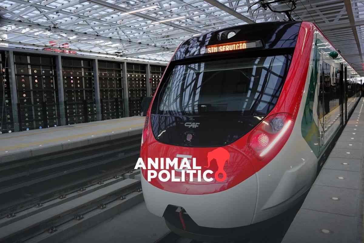 Tras 12 años de obras, el Tren El Insurgente es abierto en su totalidad