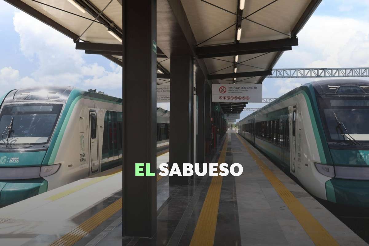 Tren Maya pierde más de 2 mil mdp en primer semestre de 2025