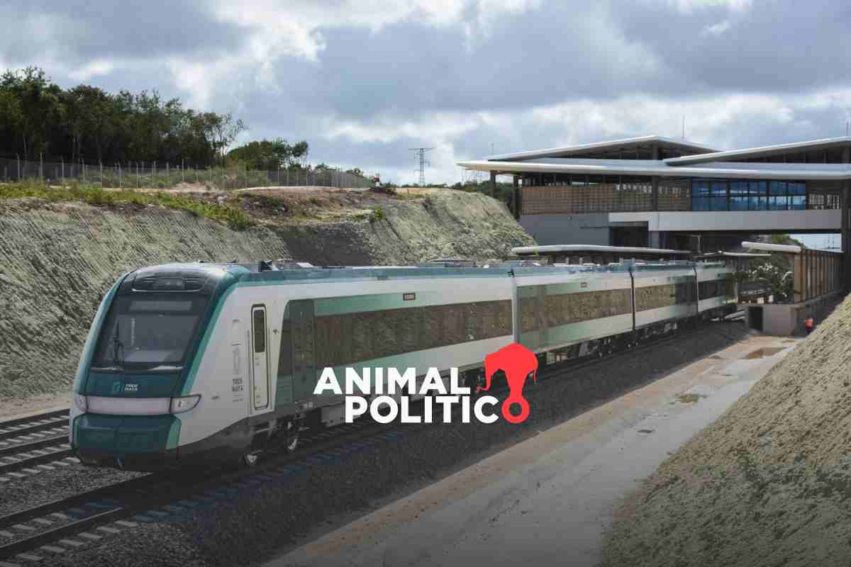 Tren Maya tiene 11 puntos de riesgo de colapso y hundimientos; obras en tramo 5 sur siguen