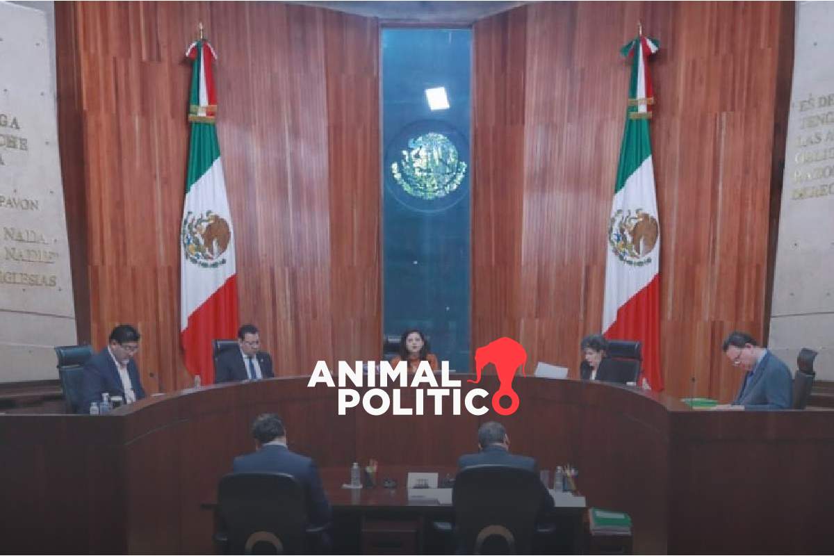 Tribunal Electoral confirma que la ciudadanía no contará los votos en la elección judicial