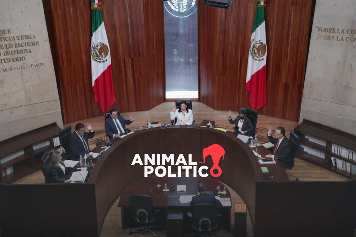 Tribunal Electoral ordena darle lugar a magistrado en elección judicial, pese a orden de paridad