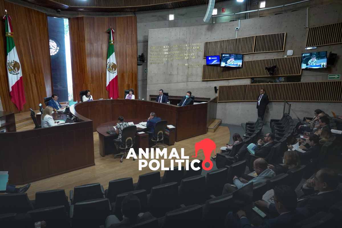 Tribunal rechaza intervenir en proceso contra consejeros de INE por aplazar revocación de mandato 