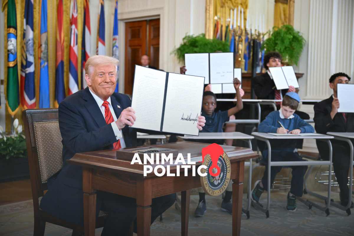 “No nos está haciendo ningún bien”: Trump firma decreto para “eliminar” el Departamento de Educación