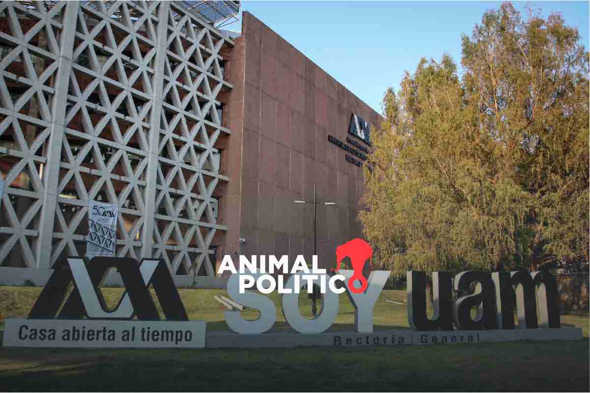 UAM abre convocatoria para proceso de selección a licenciatura 2025: conoce fechas y requisitos