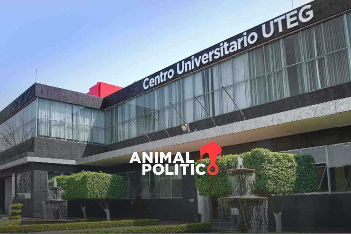 Triple feminicidio: hombre mata a trabajadoras de la Universidad Tecnológica de Guadalajara