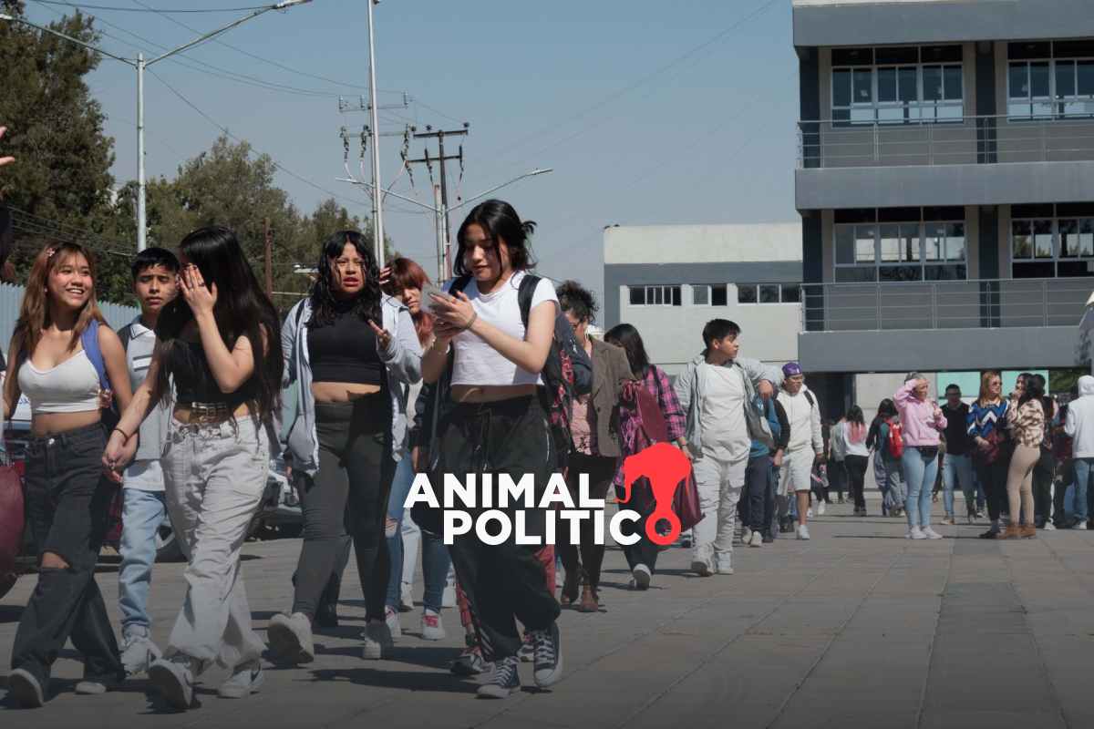 Universidad Rosario Castellanos abre convocatoria en Tijuana y Comitán para estudiar sin examen