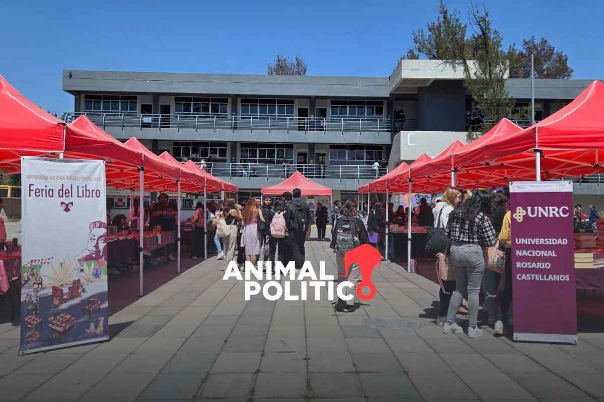 Universidad Rosario Castellanos lanza convocatoria a nivel nacional; te decimos los requisitos