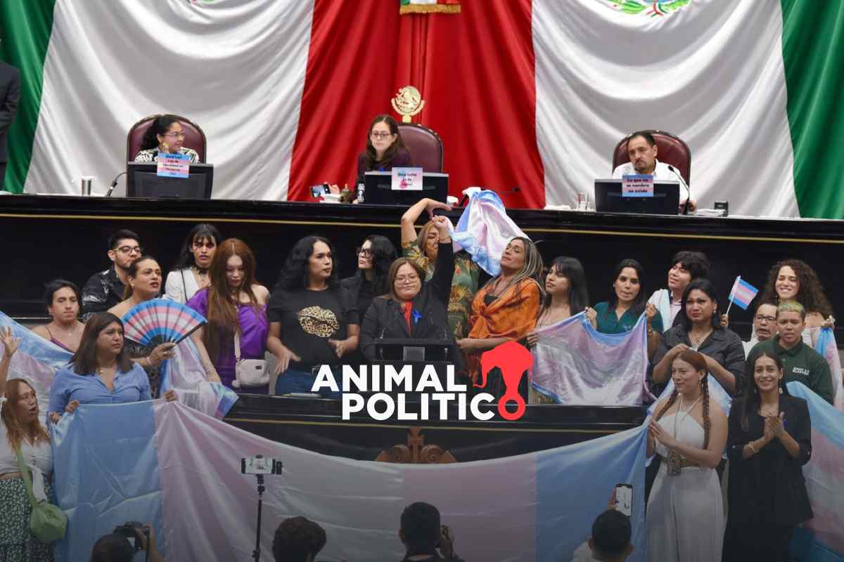 Veracruz aprueba reforma a beneficio de personas trans: incorporan Identidad de Género Autopercibida
