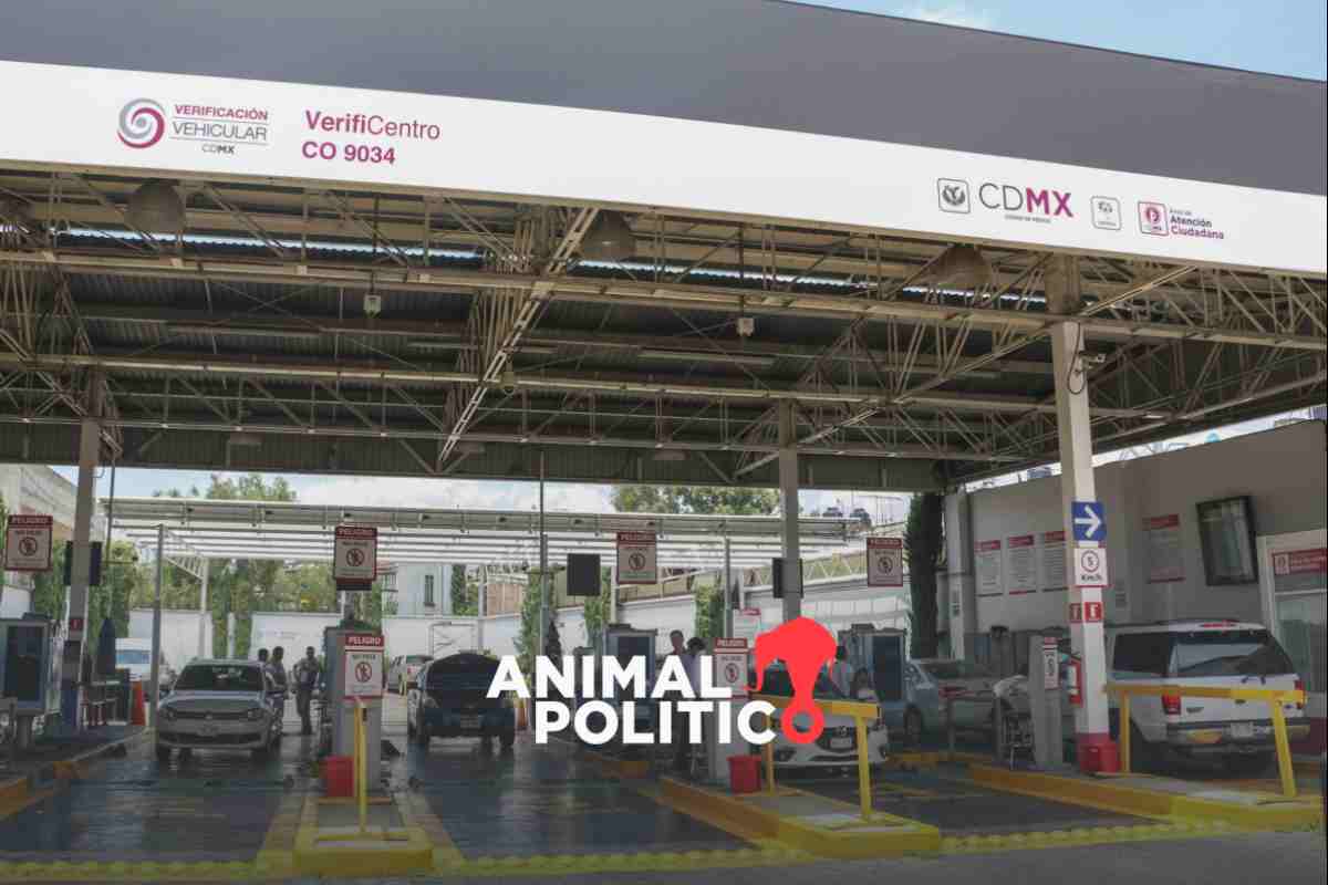 Verificación Vehicular 2024: así quedó el calendario para la CDMX y el Edomex