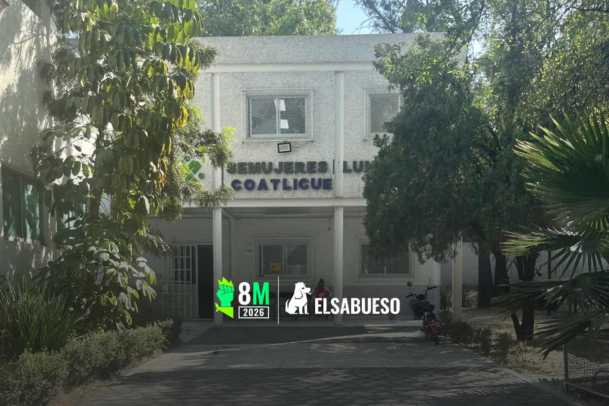 La promesa de construir 100 casas de las Siemprevivas no avanza; en más de un año solo hay 27 