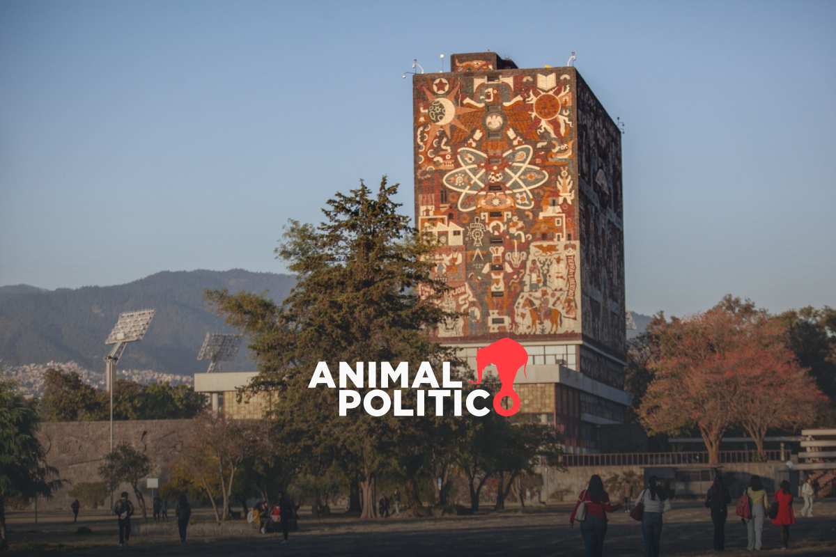 César quería estudiar Veterinaria, pero no fue seleccionado: UNAM deja atrás a miles en nuevo ciclo