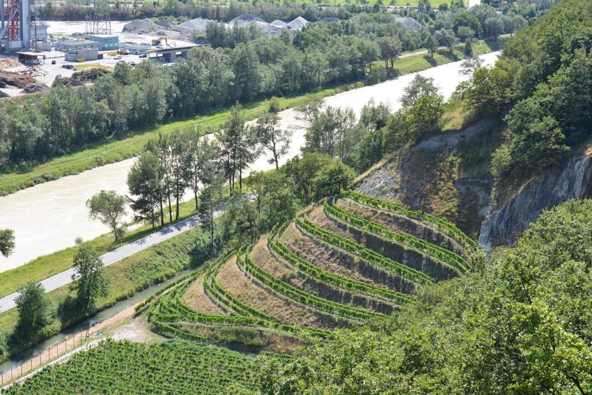 Los vinos franceses del Valle del Ródano