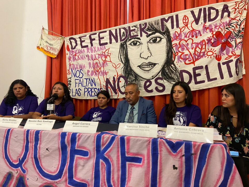 “Alzo la voz por las que no pudieron defenderse”: Roxana Ruiz apelará su sentencia