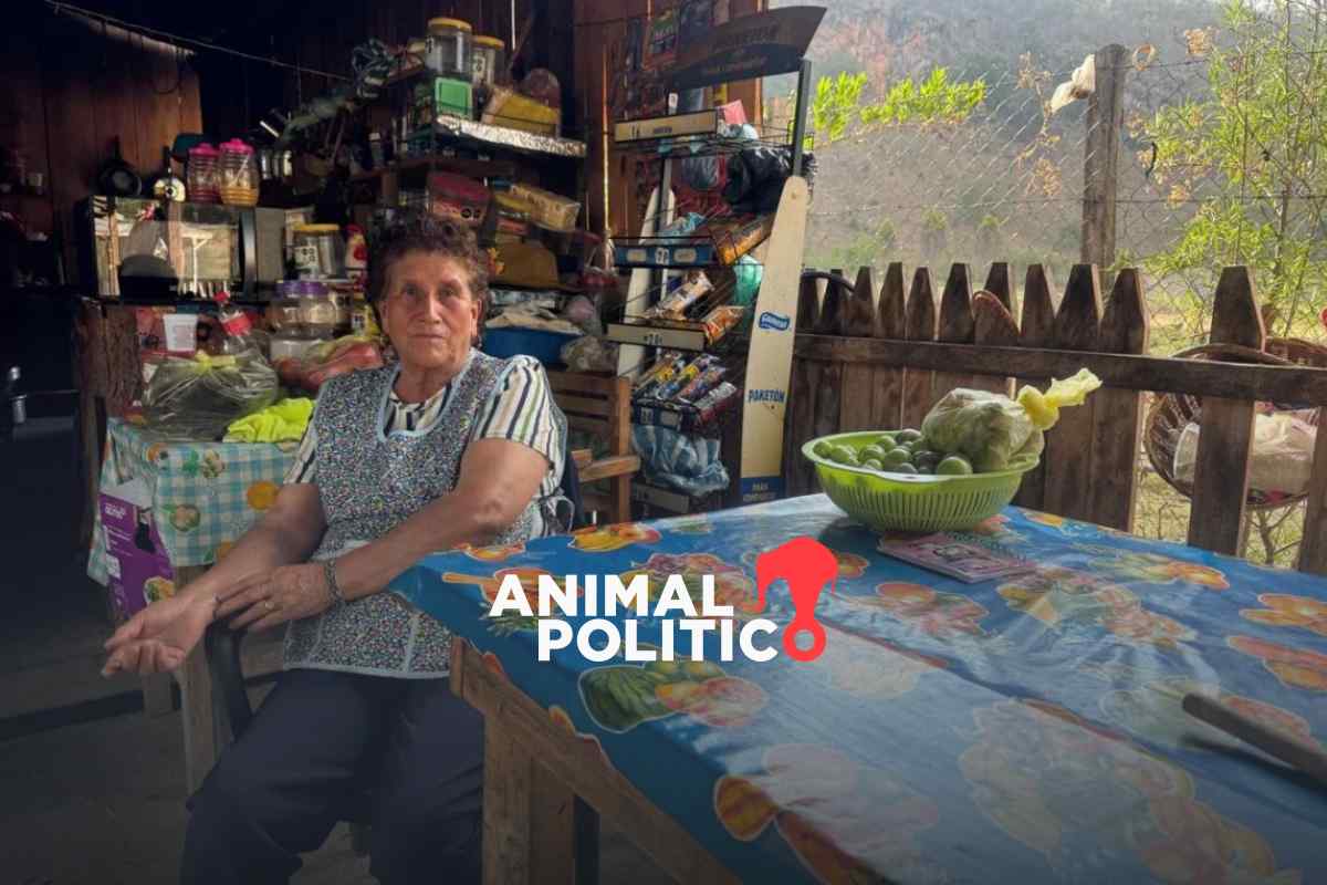 Xocomanatlán: de un sitio remoto en Chilpancingo, Guerrero, a un paraíso para descansar y comer