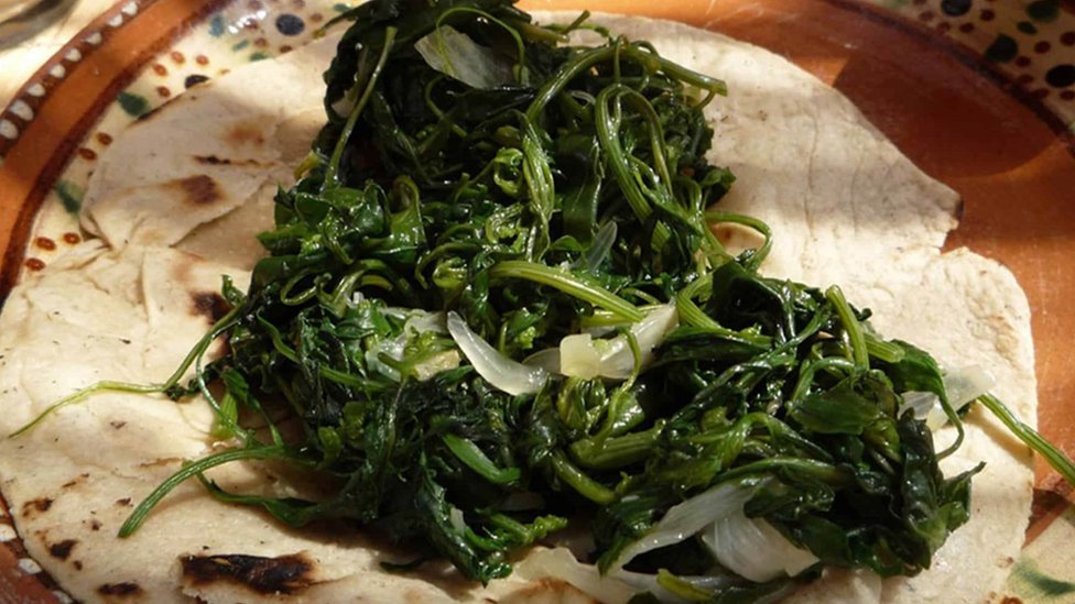 Quelites: los grandes beneficios alimenticios de estas plantas mexicanas (y por qué aún no se sabe si combaten la gastritis)