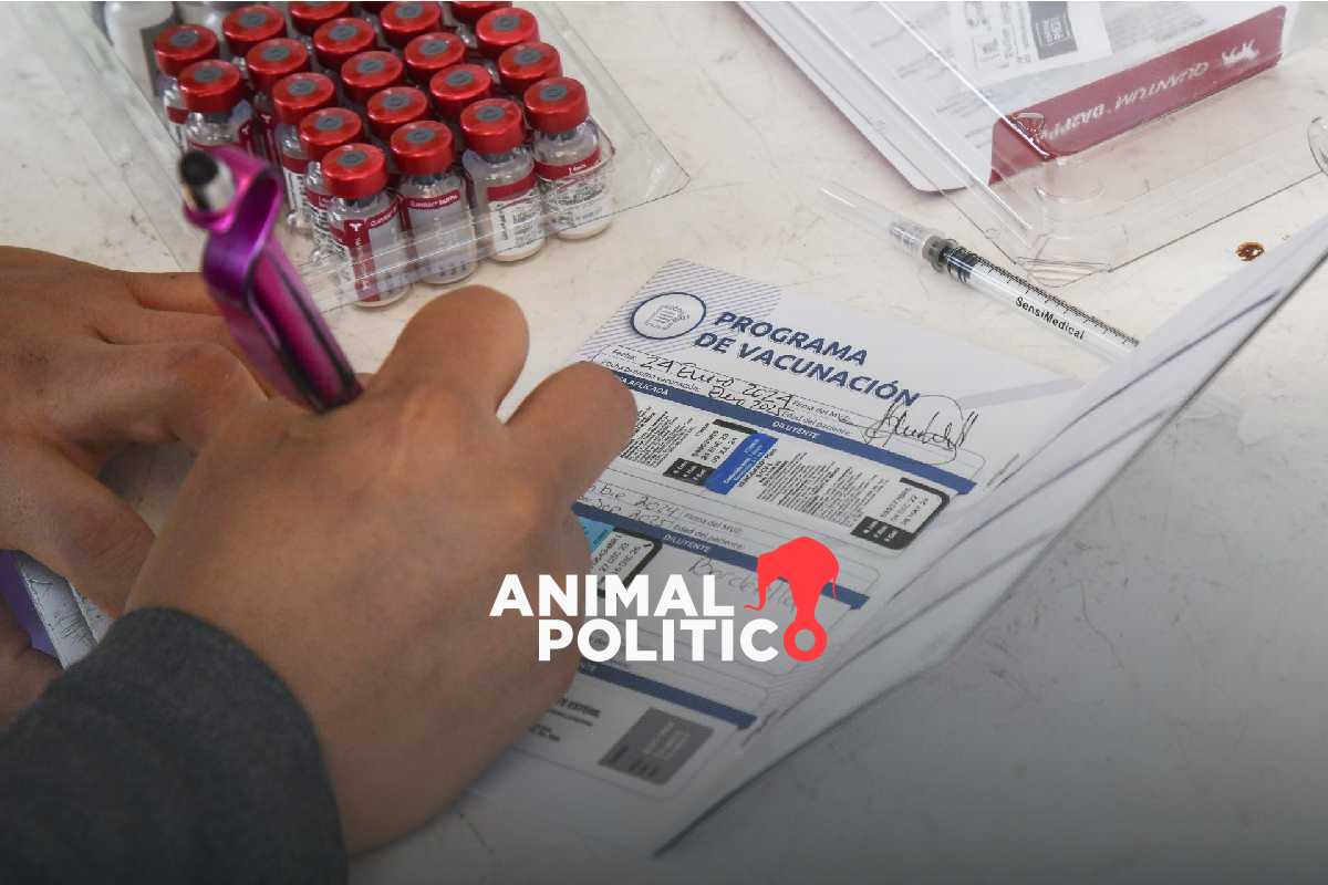 Población sin servicios de salud se duplicó entre 2018 y 2024, pese a promesas de AMLO 