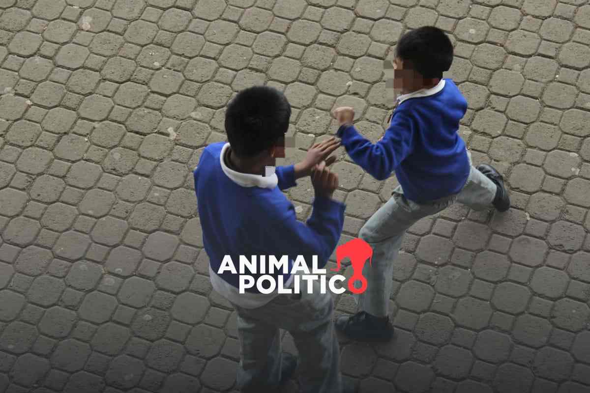 “Esperábamos más del colegio”: México es el segundo lugar mundial en acoso escolar con 280 mil casos