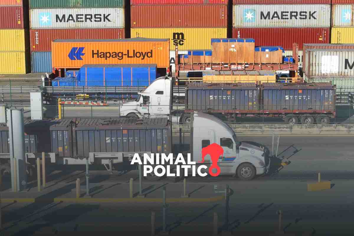 Tras más de 9 horas, trabajadores de Aduana de Manzanillo levantan paro; exigían jornadas justas