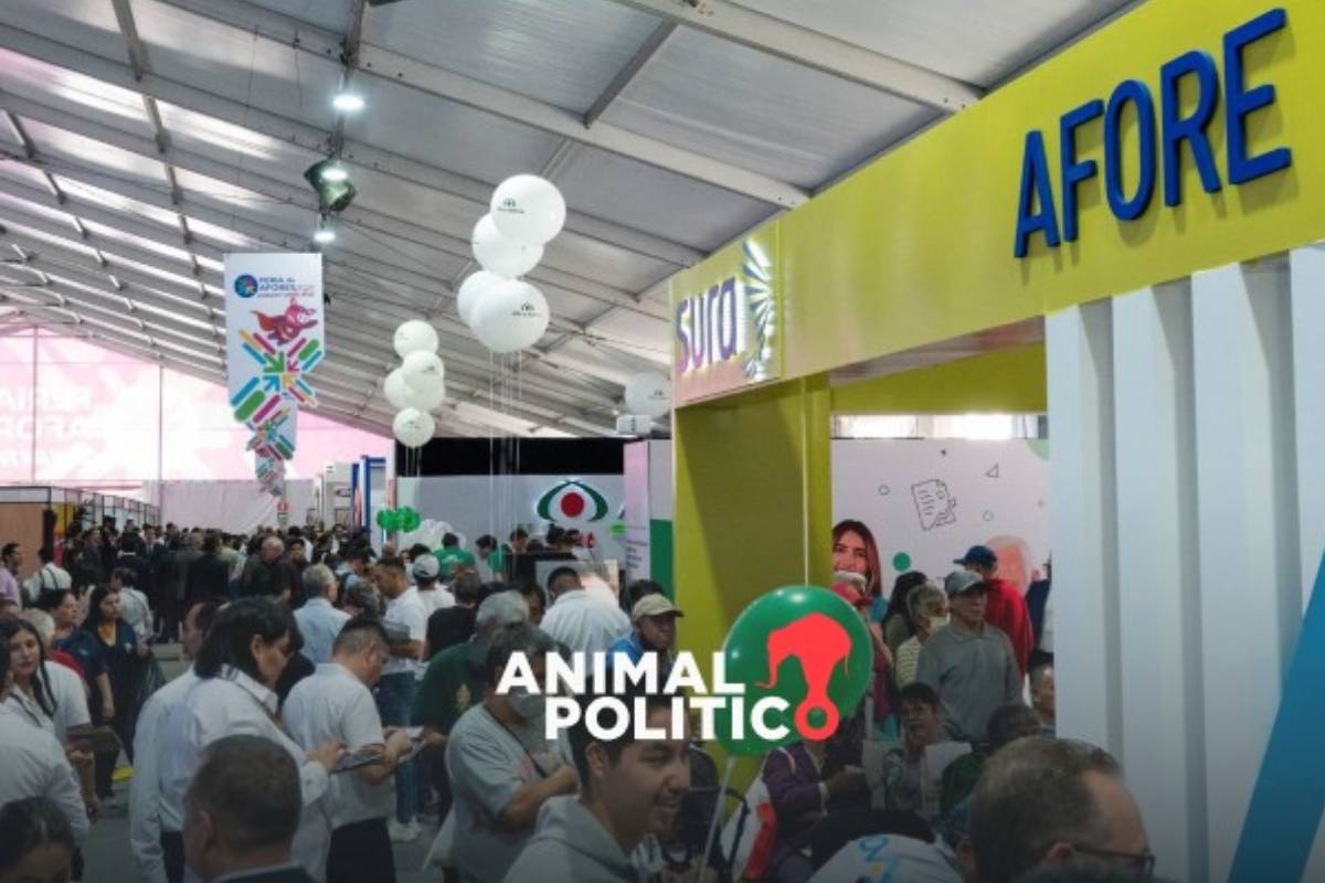 Aprueban en Cámara de Diputados reforma para evitar "retiros manipulados" de Afores por desempleo