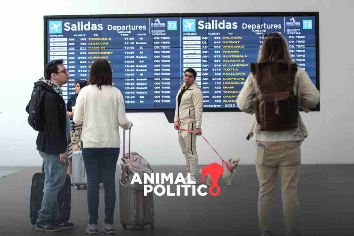 Agencias de viajes en línea suman 2 mil 500 quejas en Profeco; Expedia encabeza los reclamos 