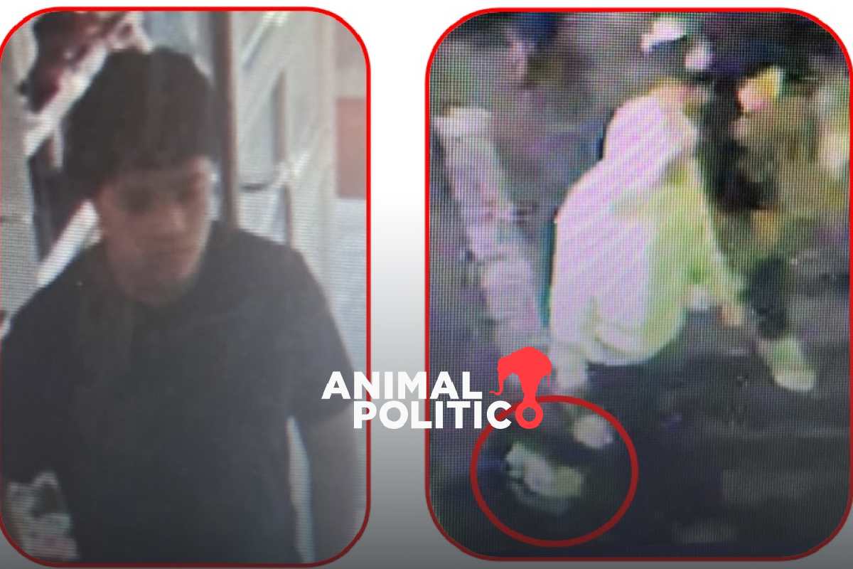 Asesinato de Carlos Manzo: el agresor se hospedó en un hotel antes del ataque; esta fue su ruta