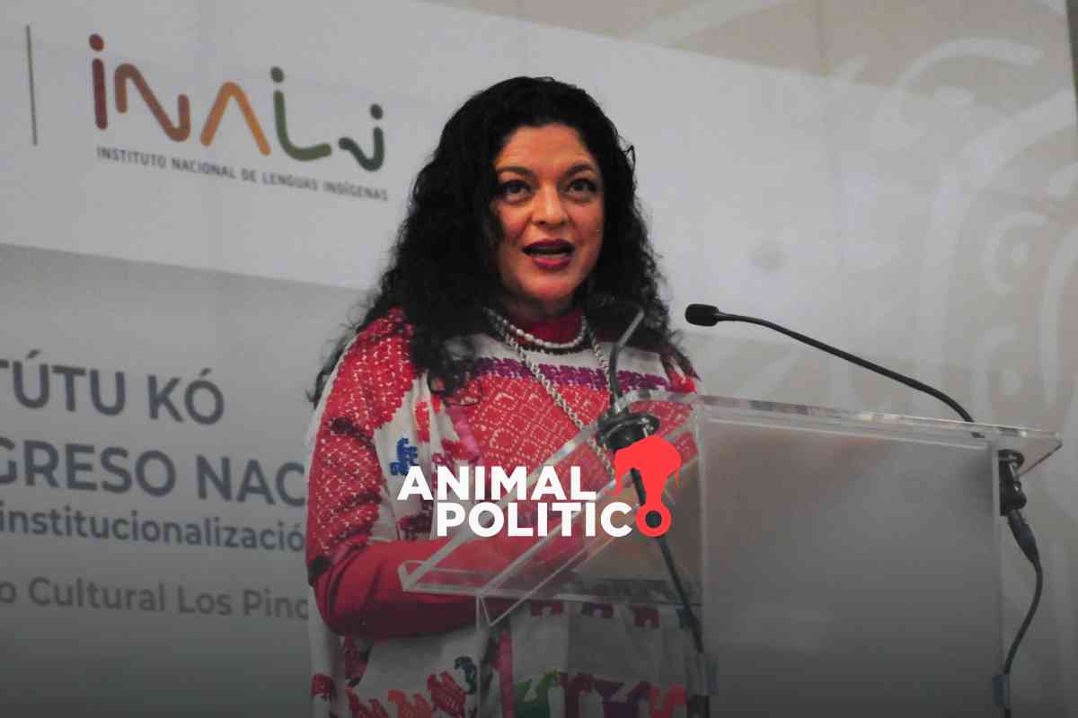 Activistas alertan que desaparecer Instituto de Lenguas Indígenas violaría derechos de pueblos
