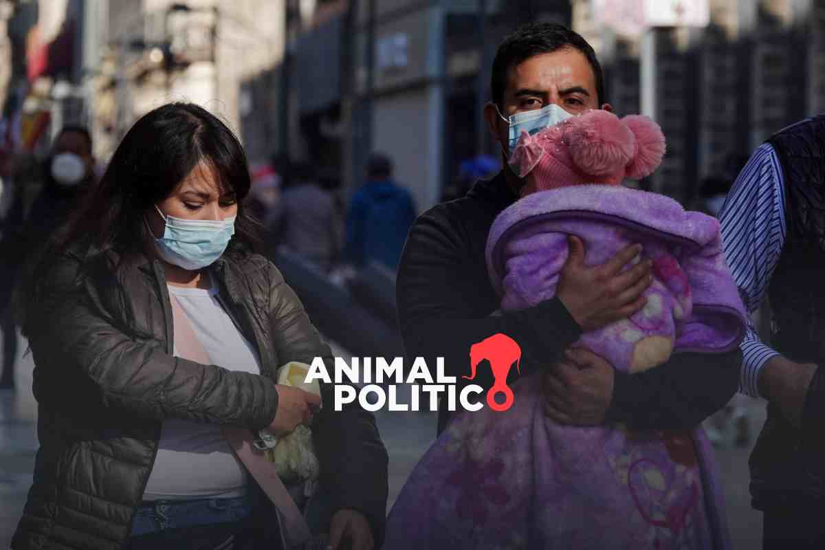 Activan alerta por frío en 7 alcaldías de CDMX para el jueves; prevén temperaturas de hasta 1 grado