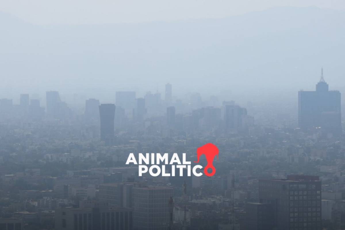 Se mantiene contingencia ambiental en el Valle de México; estos autos no circulan el 16 de febrero