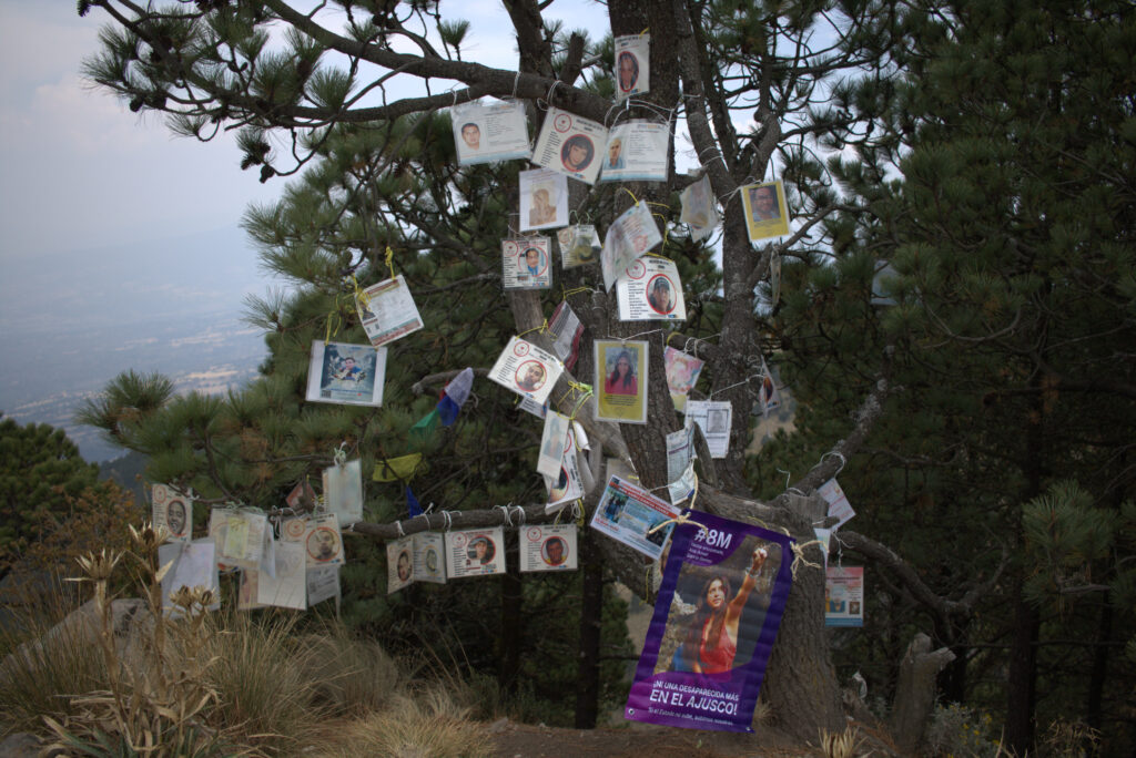 Mujeres ascienden al Ajusco para exigir que continúe búsqueda de Ameli. (Foto: Itzaxaya Campos)