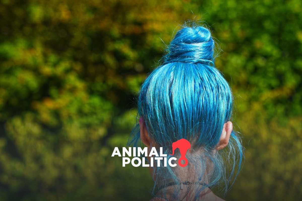 Alumna de secundaria gana amparo en Zacatecas para acudir a clases con el cabello azul