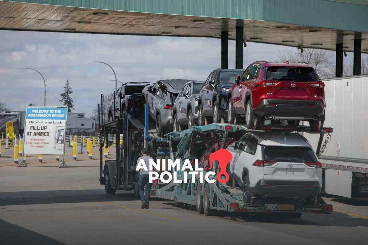 Aranceles a autos chinos: México plantea elevar impuestos a 50 % para "proteger industria nacional"