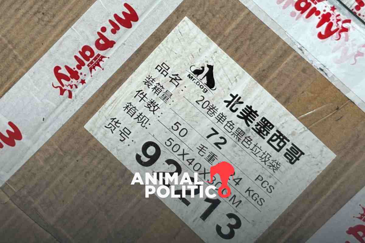 Entran en vigor aranceles impuestos por México a China: estos son los sectores más afectados