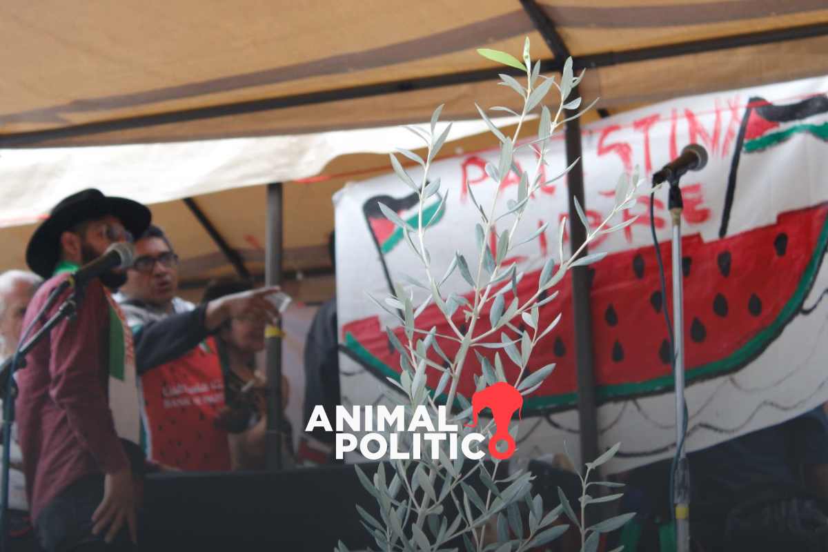 “No en nuestro nombre”: a través del arte, colectivos judíos condenan el genocidio palestino